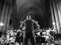 Sion Festival, 2014